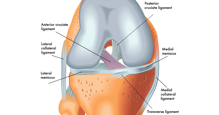 Anterior Cruciate Ligament Tear (ACL Tear) - The Institute for